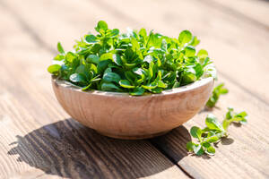 Brahmi-Tee