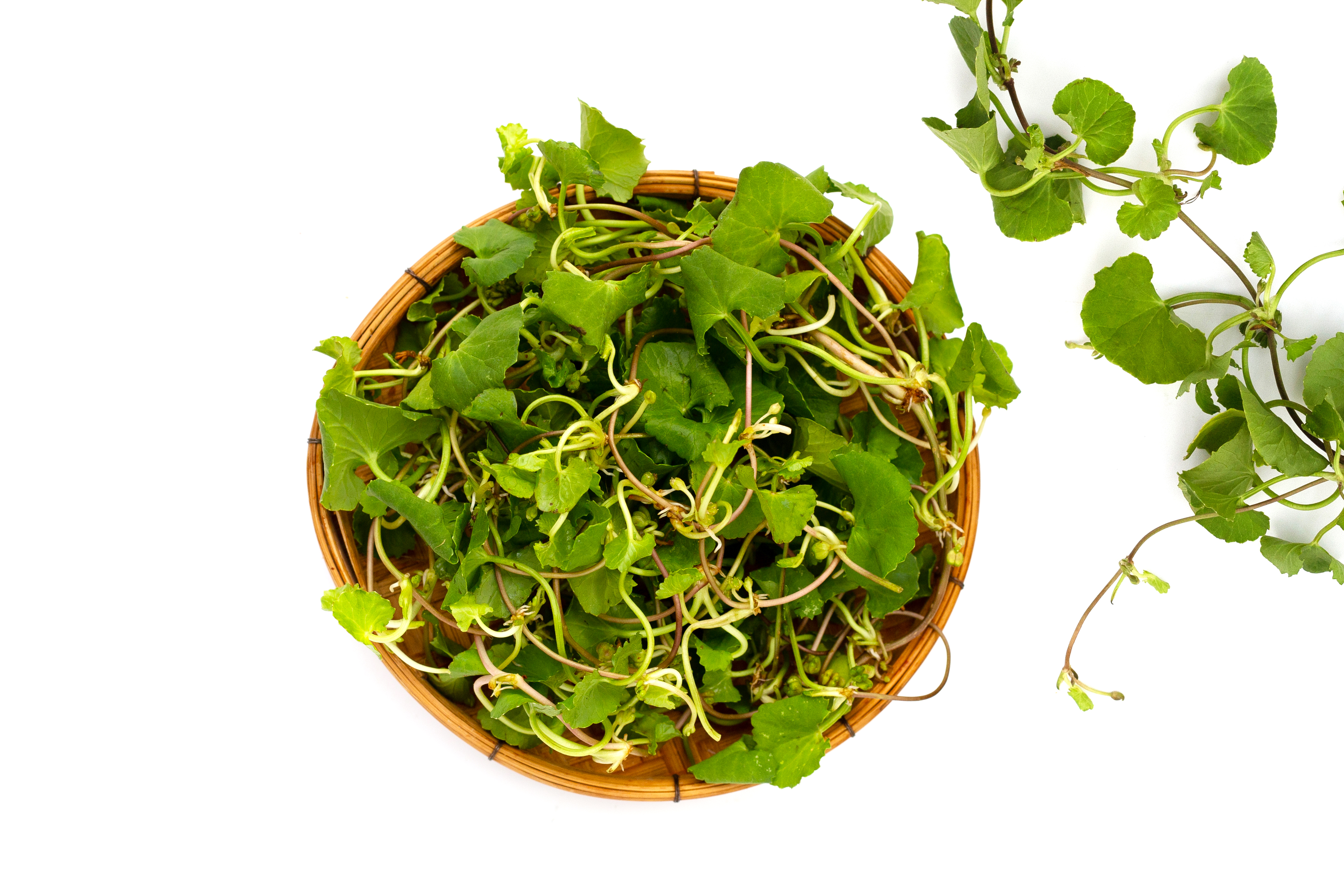 Ayurveda Anti-Stress-Tee